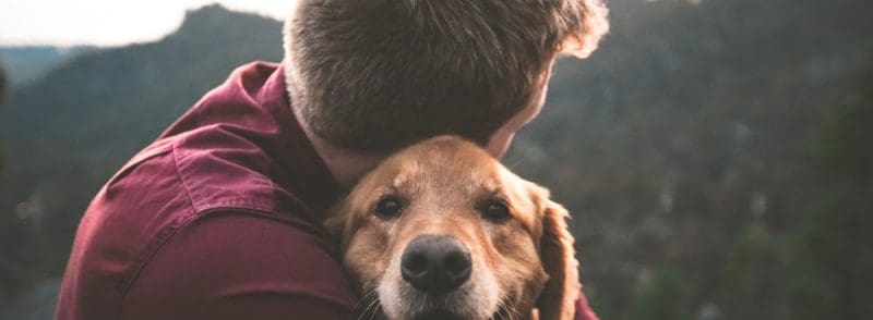 eric-ward-ISg37AI2A-s-unsplash